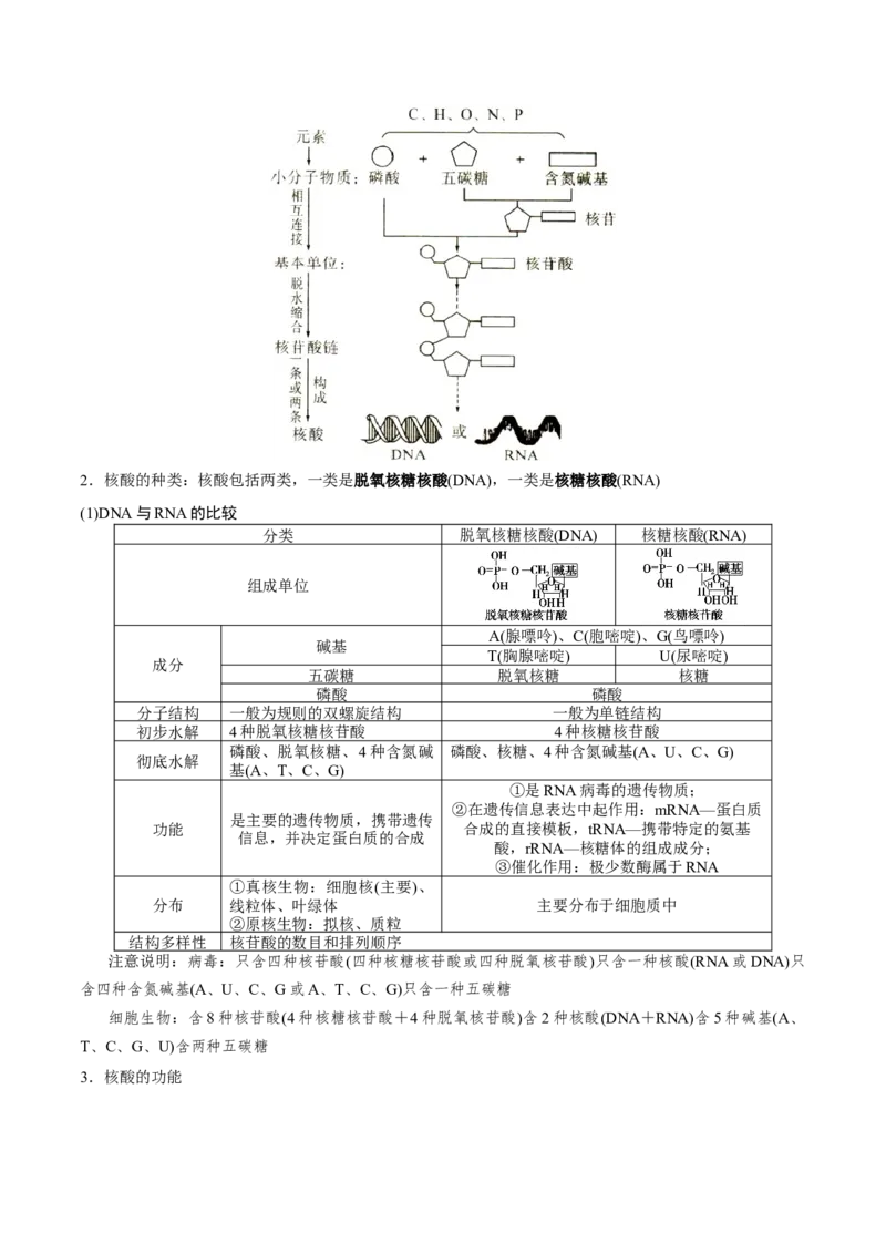 GKSW150_第3讲组成细胞的有机化合物-备战2022年高考生物一轮复习精品讲义（人教版）(解析版)_新高考复习资料_2022年新高考复习资料_备战2022新高考生物一轮复习精品讲义（人教版）
