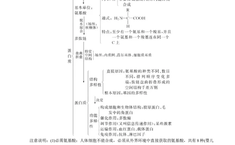 GKSW150_第3讲组成细胞的有机化合物-备战2022年高考生物一轮复习精品讲义（人教版）(解析版)_新高考复习资料_2022年新高考复习资料_备战2022新高考生物一轮复习精品讲义（人教版）