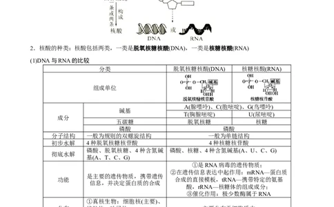 GKSW150_第3讲组成细胞的有机化合物-备战2022年高考生物一轮复习精品讲义（人教版）(解析版)_新高考复习资料_2022年新高考复习资料_备战2022新高考生物一轮复习精品讲义（人教版）