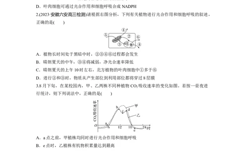 第3单元　课时练7　光合作用和细胞呼吸的综合分析_2024年新高考资料_1.2024一轮复习_2024年高考生物一轮复习讲义（新人教版）_学生版在此文件夹_一轮复习69练