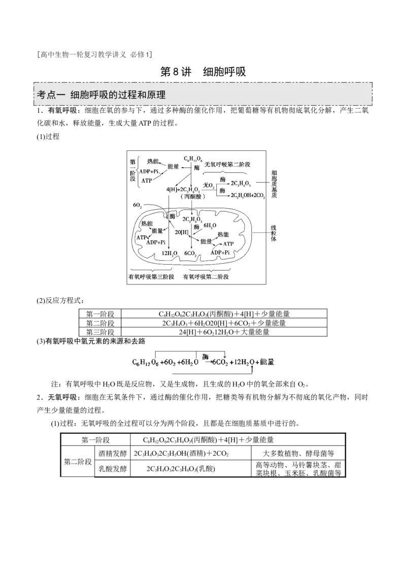 GKSW150_第8讲细胞呼吸-备战2022年高考生物一轮复习精品讲义（人教版）(原卷版)_新高考复习资料_2022年新高考复习资料_备战2022新高考生物一轮复习精品讲义（人教版）