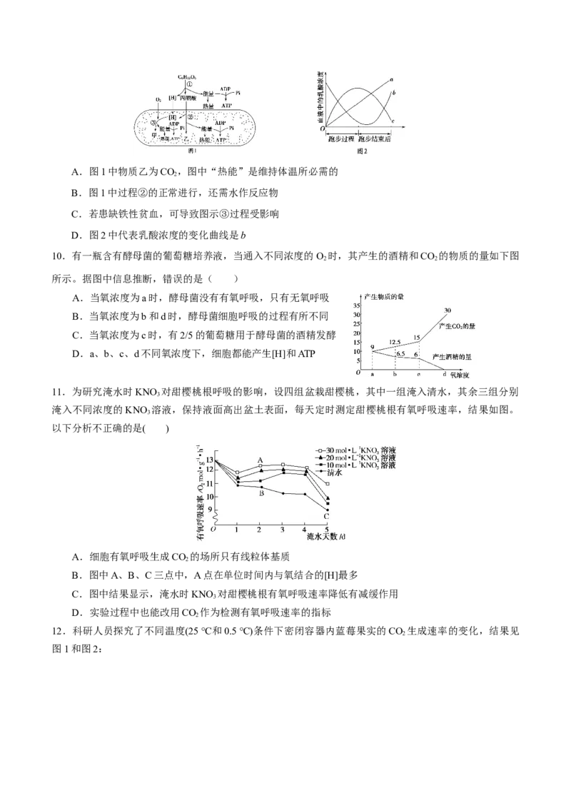 GKSW150_第8讲细胞呼吸-备战2022年高考生物一轮复习精品讲义（人教版）(原卷版)_新高考复习资料_2022年新高考复习资料_备战2022新高考生物一轮复习精品讲义（人教版）