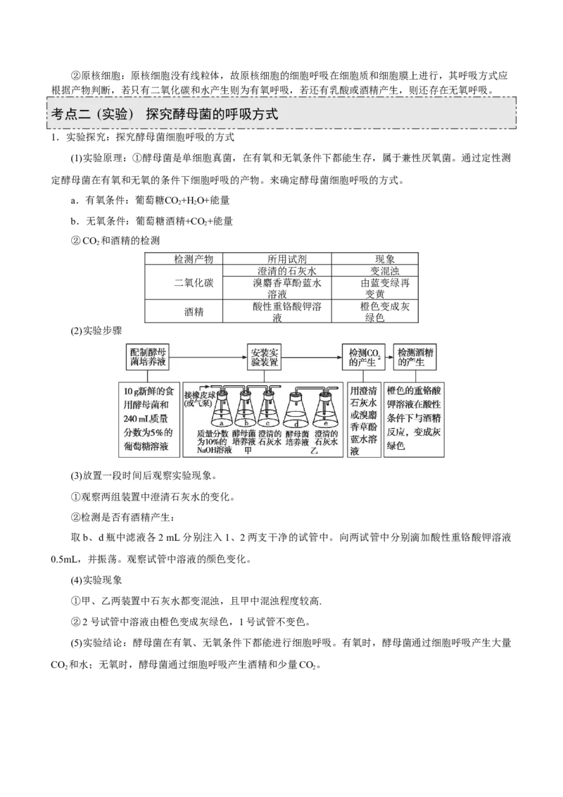 GKSW150_第8讲细胞呼吸-备战2022年高考生物一轮复习精品讲义（人教版）(原卷版)_新高考复习资料_2022年新高考复习资料_备战2022新高考生物一轮复习精品讲义（人教版）