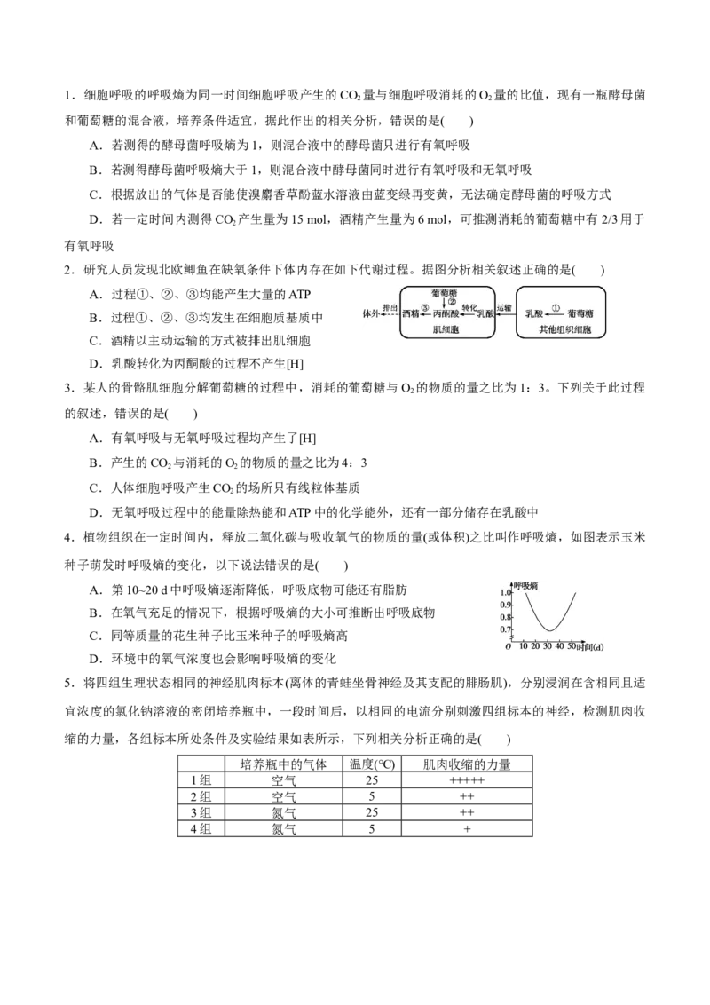 GKSW150_第8讲细胞呼吸-备战2022年高考生物一轮复习精品讲义（人教版）(原卷版)_新高考复习资料_2022年新高考复习资料_备战2022新高考生物一轮复习精品讲义（人教版）