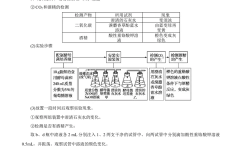 GKSW150_第8讲细胞呼吸-备战2022年高考生物一轮复习精品讲义（人教版）(原卷版)_新高考复习资料_2022年新高考复习资料_备战2022新高考生物一轮复习精品讲义（人教版）
