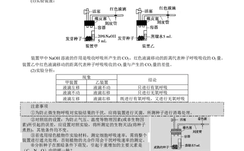 GKSW150_第8讲细胞呼吸-备战2022年高考生物一轮复习精品讲义（人教版）(原卷版)_新高考复习资料_2022年新高考复习资料_备战2022新高考生物一轮复习精品讲义（人教版）