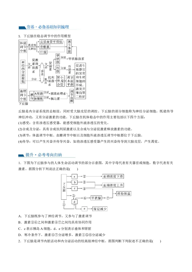 第31讲动物生命活动调节的综合分析（讲义）（学生版）_2024年新高考资料_1.2024一轮复习_2024年高考生物一轮复习讲练测（新教材新高考）