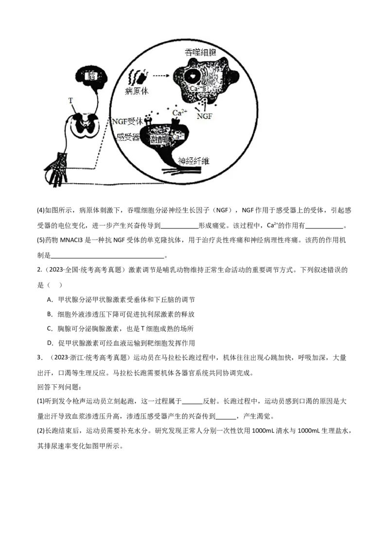第31讲动物生命活动调节的综合分析（讲义）（学生版）_2024年新高考资料_1.2024一轮复习_2024年高考生物一轮复习讲练测（新教材新高考）