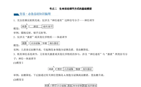 第31讲动物生命活动调节的综合分析（讲义）（学生版）_2024年新高考资料_1.2024一轮复习_2024年高考生物一轮复习讲练测（新教材新高考）