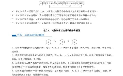 第31讲动物生命活动调节的综合分析（讲义）（学生版）_2024年新高考资料_1.2024一轮复习_2024年高考生物一轮复习讲练测（新教材新高考）