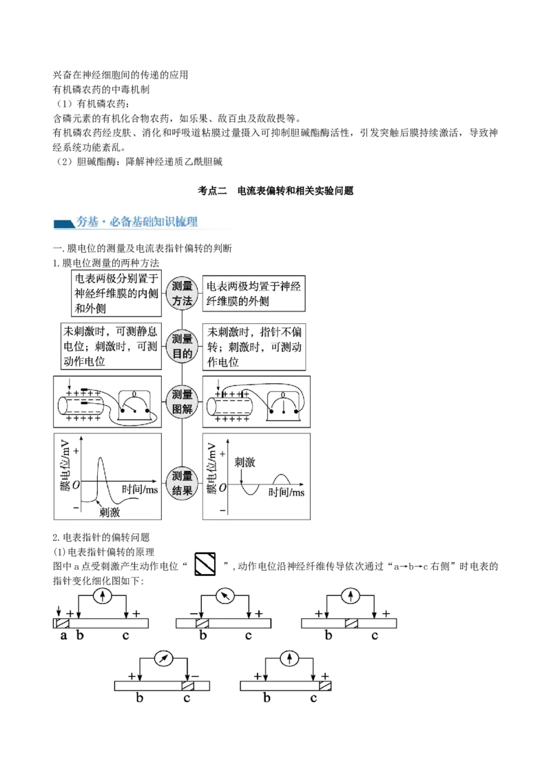 第26.2讲神经冲动的产生、传导和传递（讲义）（教师版）_2024年新高考资料_1.2024一轮复习_2024年高考生物一轮复习讲练测（新教材新高考）