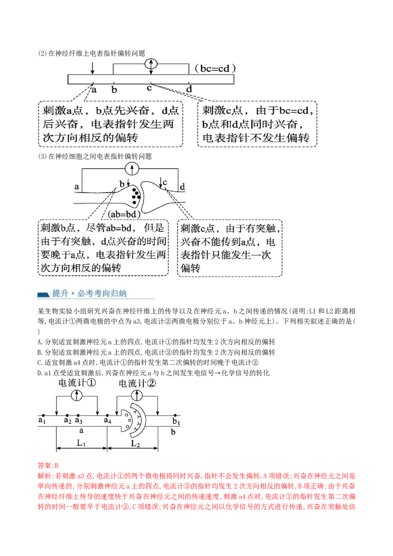 第26.2讲神经冲动的产生、传导和传递（讲义）（教师版）_2024年新高考资料_1.2024一轮复习_2024年高考生物一轮复习讲练测（新教材新高考）