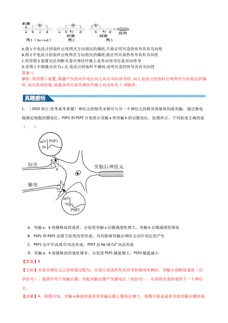 第26.2讲神经冲动的产生、传导和传递（讲义）（教师版）_2024年新高考资料_1.2024一轮复习_2024年高考生物一轮复习讲练测（新教材新高考）