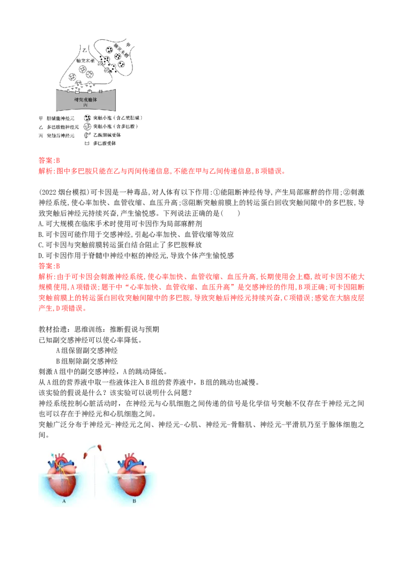 第26.2讲神经冲动的产生、传导和传递（讲义）（教师版）_2024年新高考资料_1.2024一轮复习_2024年高考生物一轮复习讲练测（新教材新高考）
