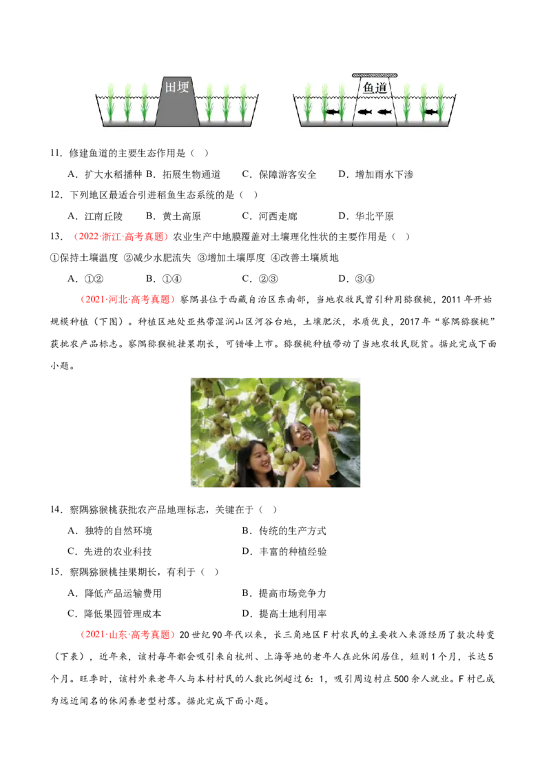 微专题农业技术、市场竞争力、新型服务业（练习）（原卷版）_2025年新高考资料_二轮复习_01高考语文等多个文件_上好课2025年高考地理二轮复习讲练测（新高考通用）