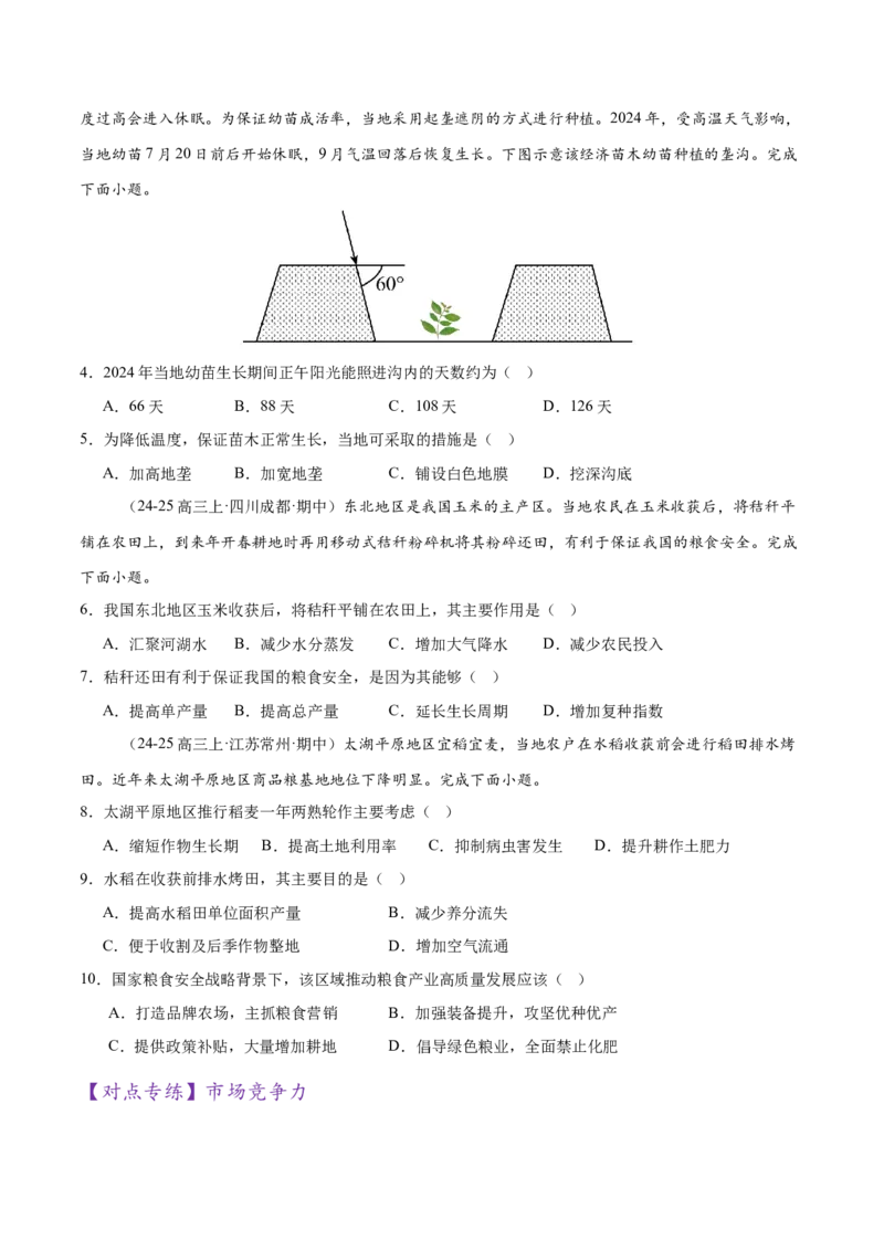 微专题农业技术、市场竞争力、新型服务业（练习）（原卷版）_2025年新高考资料_二轮复习_01高考语文等多个文件_上好课2025年高考地理二轮复习讲练测（新高考通用）