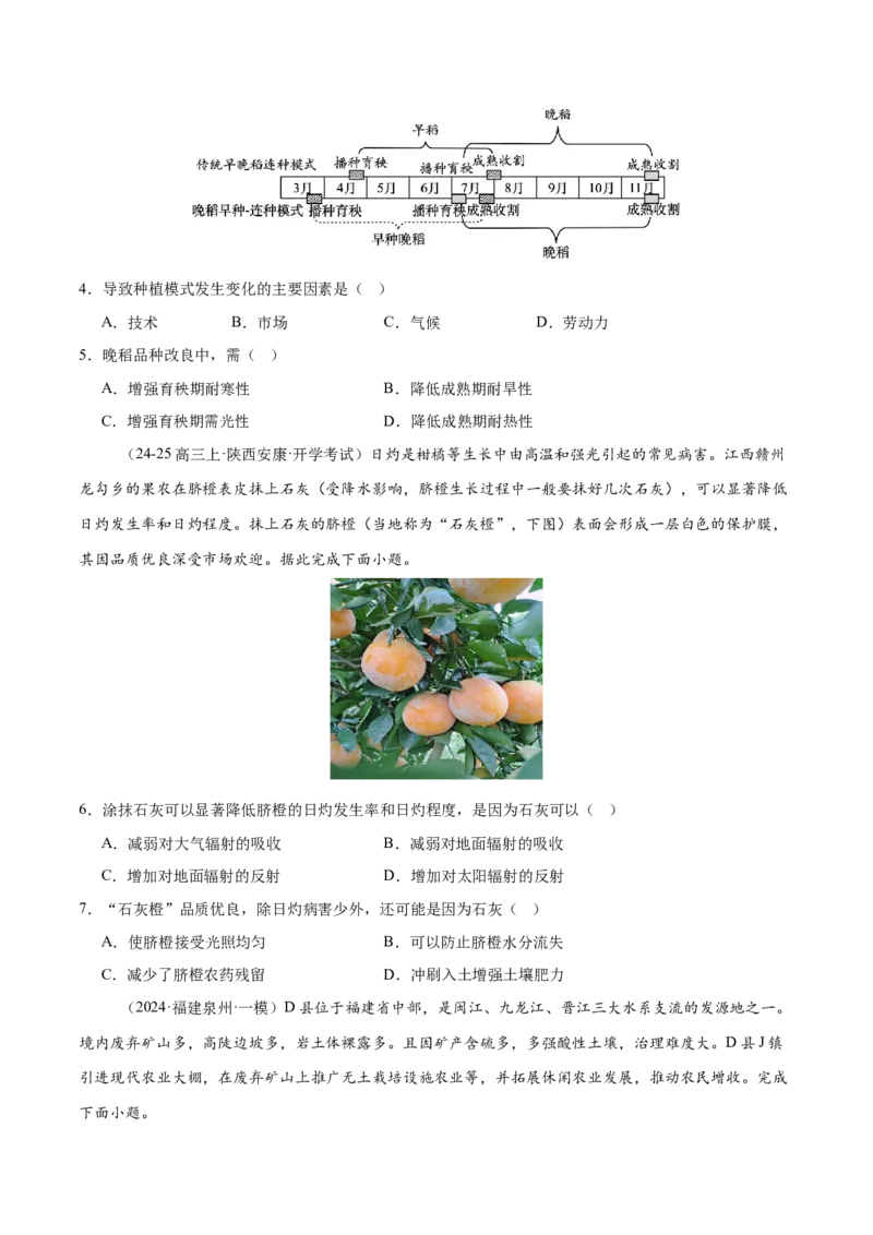 微专题农业技术、市场竞争力、新型服务业（练习）（原卷版）_2025年新高考资料_二轮复习_01高考语文等多个文件_上好课2025年高考地理二轮复习讲练测（新高考通用）