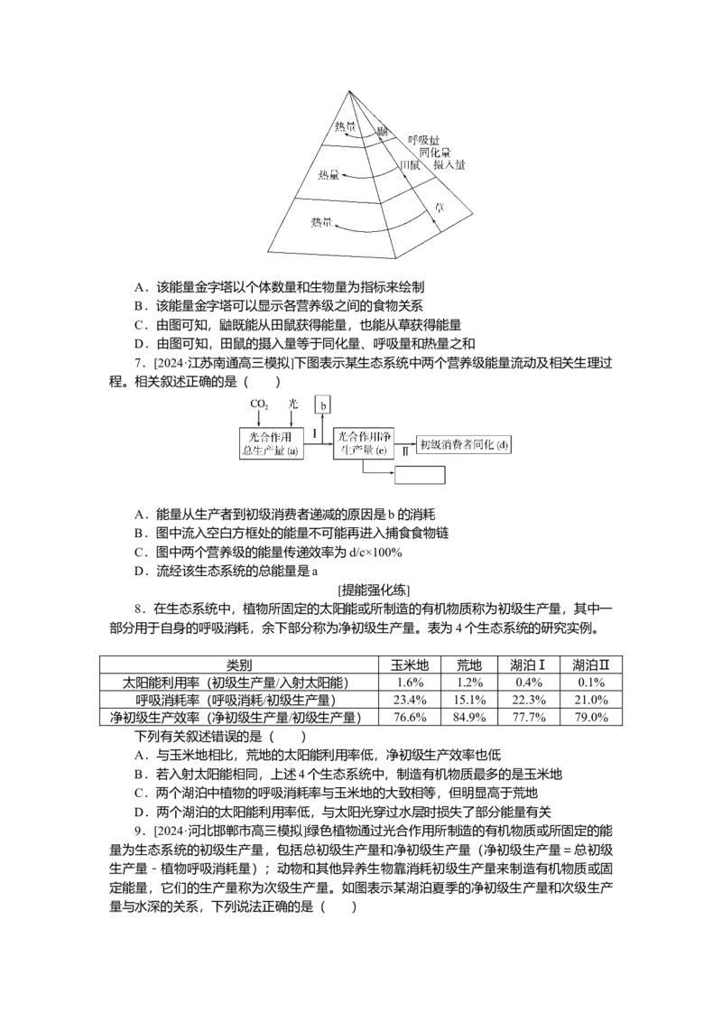 2025届高中生物学一轮复习检测案35　生态系统的结构与能量流动（含解析）_2025年新高考资料_一轮复习_2025届高中生物学一轮复习分层复习检测(含解析)