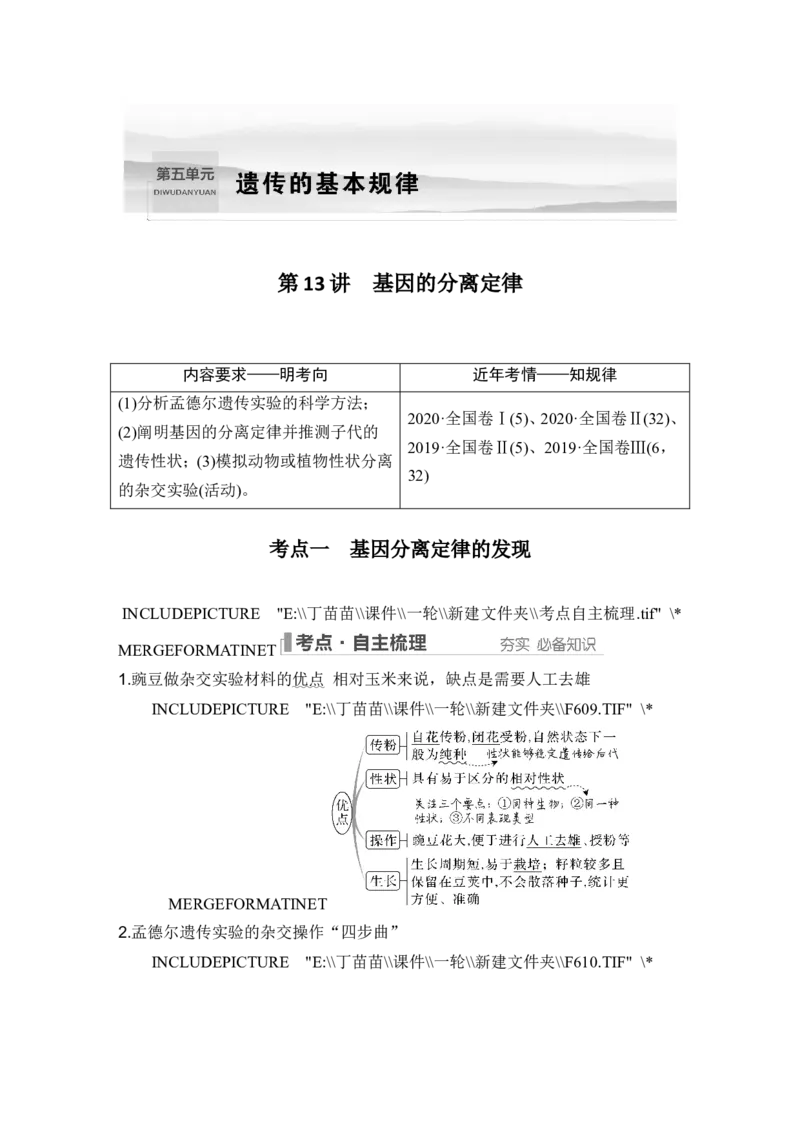 第13讲基因的分离定律_2024年新高考资料_1.2024一轮复习_2024年高考生物一轮复习讲义（新人教版）_另附1套Word版题库_必修2_第五单元遗传的基本规律