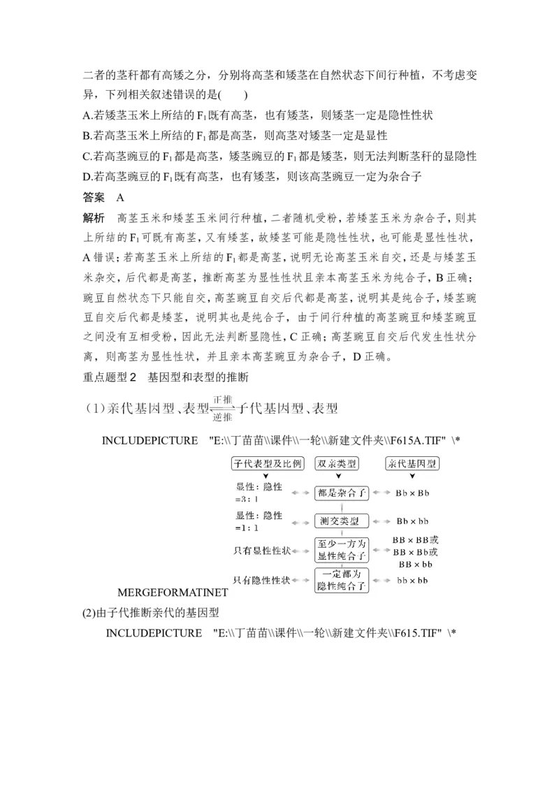 第13讲基因的分离定律_2024年新高考资料_1.2024一轮复习_2024年高考生物一轮复习讲义（新人教版）_另附1套Word版题库_必修2_第五单元遗传的基本规律