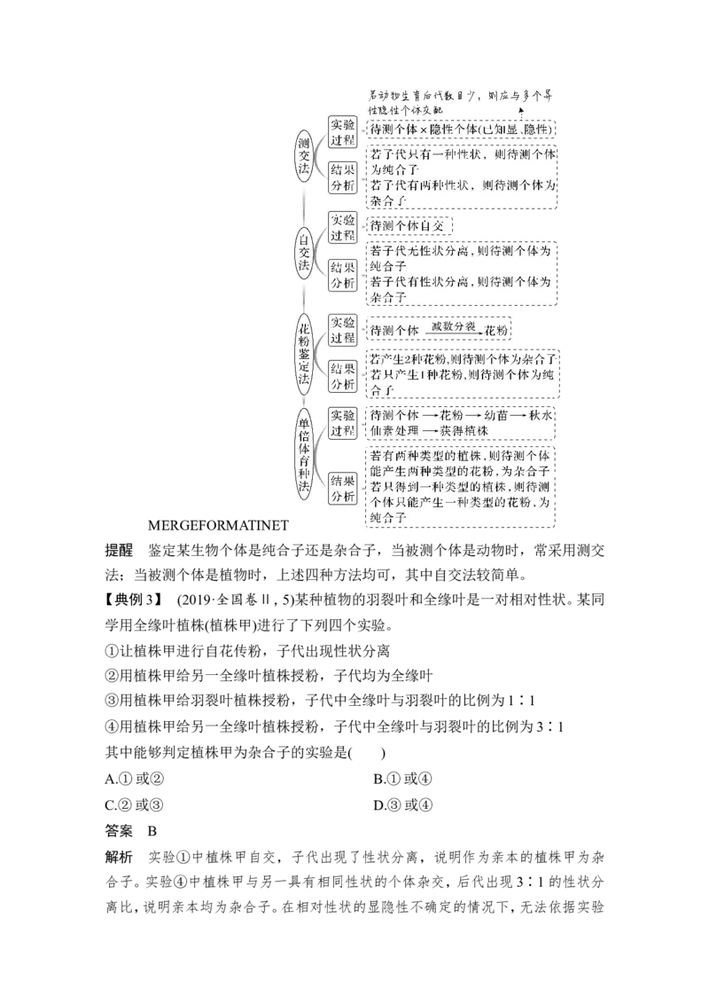 第13讲基因的分离定律_2024年新高考资料_1.2024一轮复习_2024年高考生物一轮复习讲义（新人教版）_另附1套Word版题库_必修2_第五单元遗传的基本规律