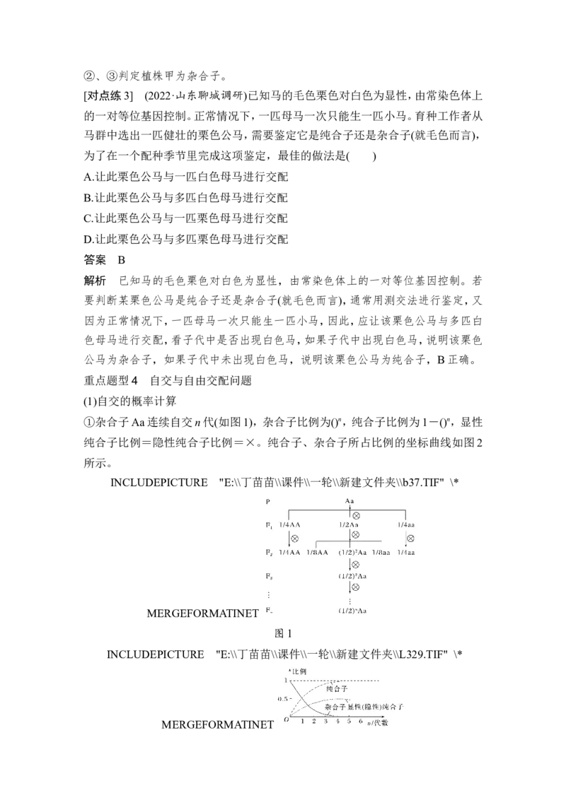 第13讲基因的分离定律_2024年新高考资料_1.2024一轮复习_2024年高考生物一轮复习讲义（新人教版）_另附1套Word版题库_必修2_第五单元遗传的基本规律