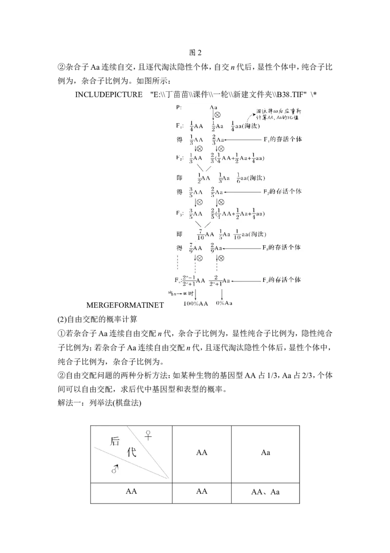 第13讲基因的分离定律_2024年新高考资料_1.2024一轮复习_2024年高考生物一轮复习讲义（新人教版）_另附1套Word版题库_必修2_第五单元遗传的基本规律