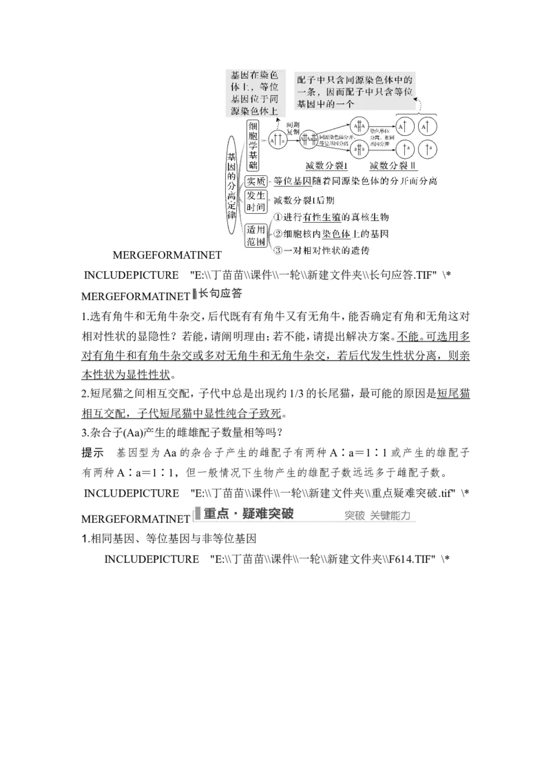 第13讲基因的分离定律_2024年新高考资料_1.2024一轮复习_2024年高考生物一轮复习讲义（新人教版）_另附1套Word版题库_必修2_第五单元遗传的基本规律