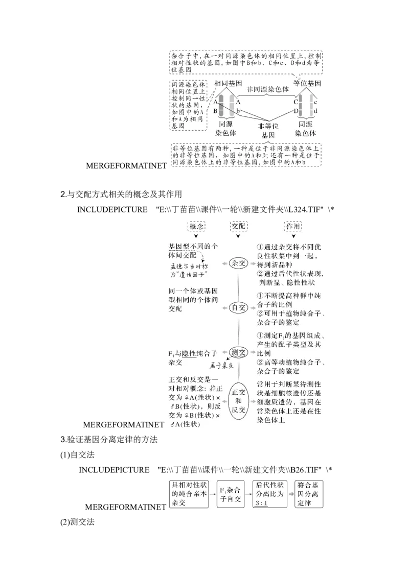 第13讲基因的分离定律_2024年新高考资料_1.2024一轮复习_2024年高考生物一轮复习讲义（新人教版）_另附1套Word版题库_必修2_第五单元遗传的基本规律