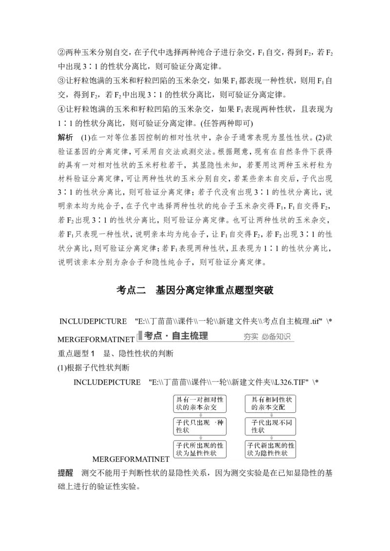 第13讲基因的分离定律_2024年新高考资料_1.2024一轮复习_2024年高考生物一轮复习讲义（新人教版）_另附1套Word版题库_必修2_第五单元遗传的基本规律