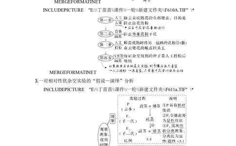 第13讲基因的分离定律_2024年新高考资料_1.2024一轮复习_2024年高考生物一轮复习讲义（新人教版）_另附1套Word版题库_必修2_第五单元遗传的基本规律