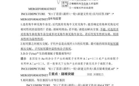 第13讲基因的分离定律_2024年新高考资料_1.2024一轮复习_2024年高考生物一轮复习讲义（新人教版）_另附1套Word版题库_必修2_第五单元遗传的基本规律