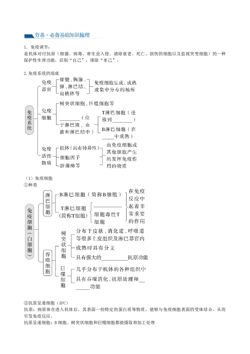 第29讲免疫调节（讲义）（学生版）_2024年新高考资料_1.2024一轮复习_2024年高考生物一轮复习讲练测（新教材新高考）