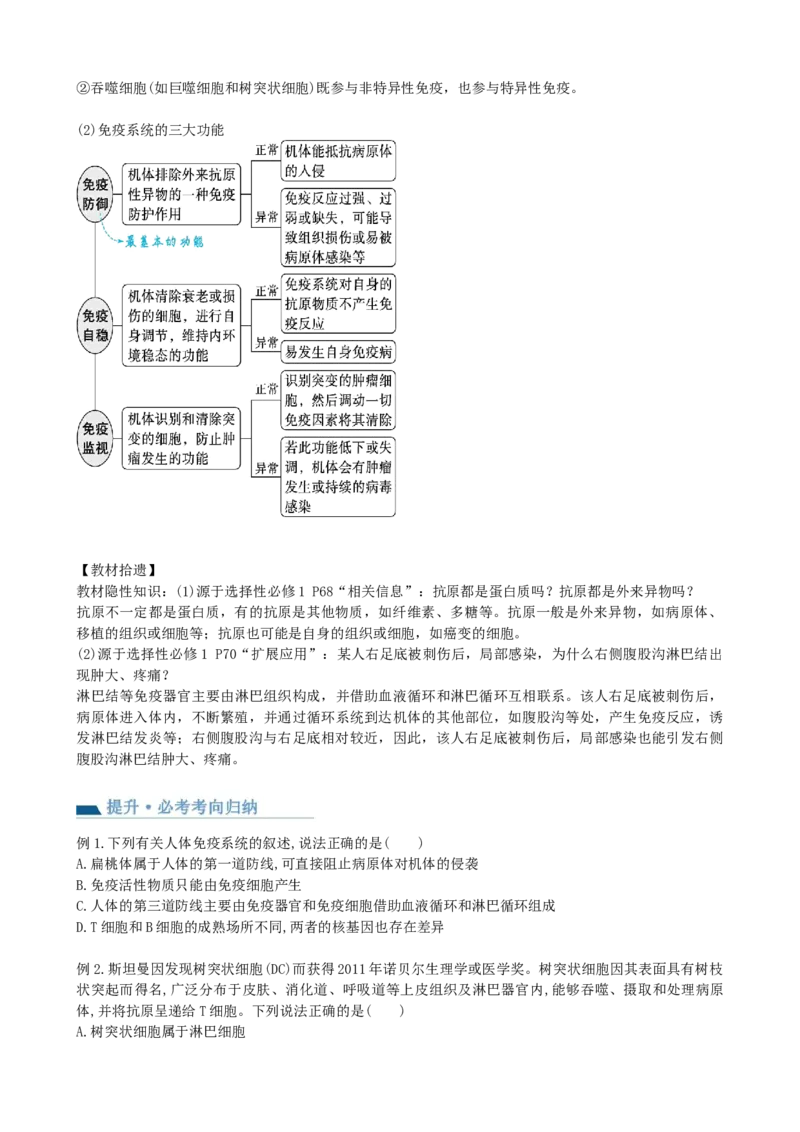 第29讲免疫调节（讲义）（学生版）_2024年新高考资料_1.2024一轮复习_2024年高考生物一轮复习讲练测（新教材新高考）