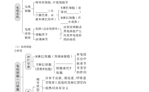 第29讲免疫调节（讲义）（学生版）_2024年新高考资料_1.2024一轮复习_2024年高考生物一轮复习讲练测（新教材新高考）
