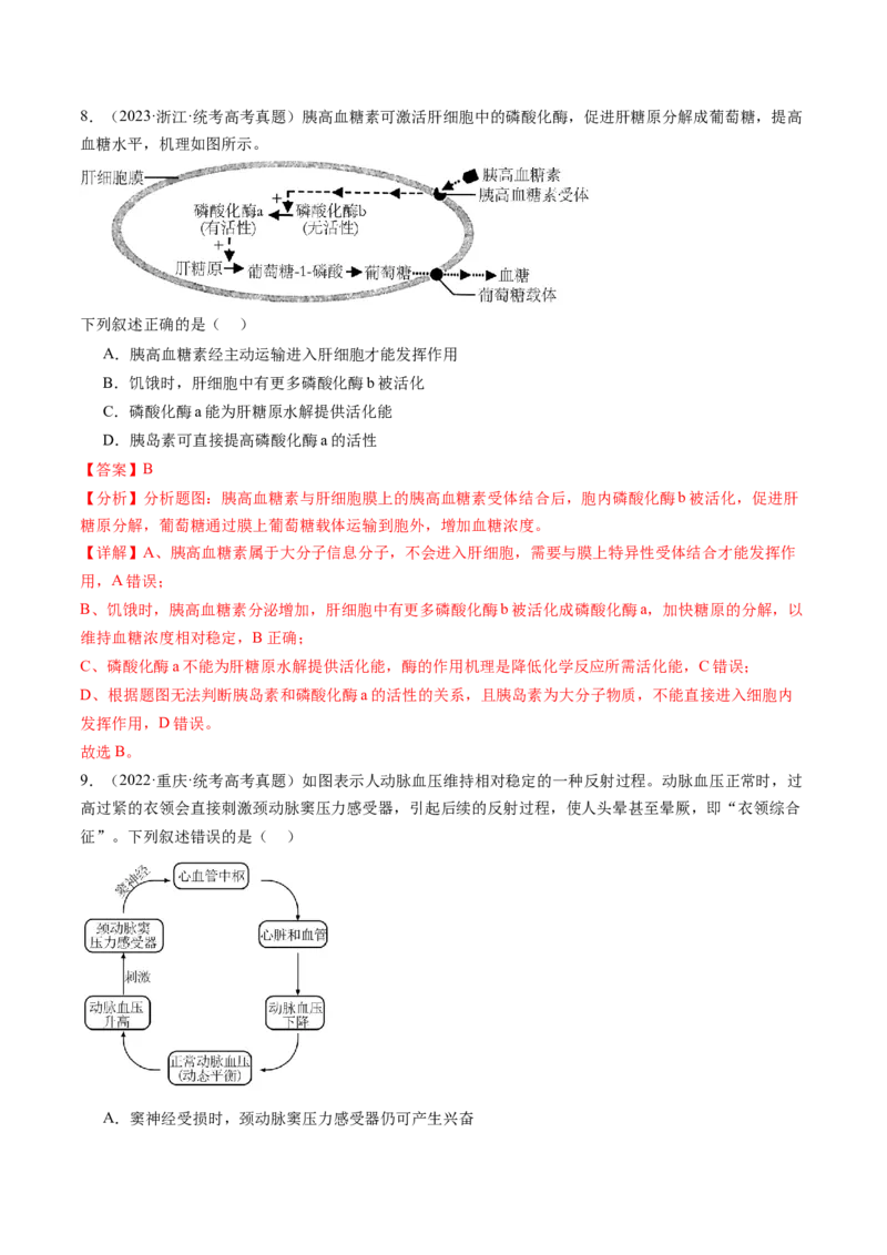 第28讲神经调节和体液调节的关系（练习）（解析版）_2024年新高考资料_1.2024一轮复习_2024年高考生物一轮复习讲练测（新教材新高考）