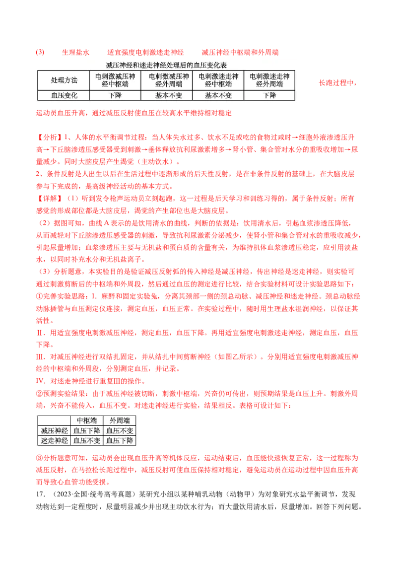 第28讲神经调节和体液调节的关系（练习）（解析版）_2024年新高考资料_1.2024一轮复习_2024年高考生物一轮复习讲练测（新教材新高考）