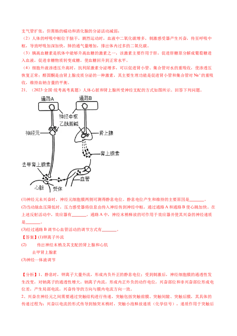 第28讲神经调节和体液调节的关系（练习）（解析版）_2024年新高考资料_1.2024一轮复习_2024年高考生物一轮复习讲练测（新教材新高考）