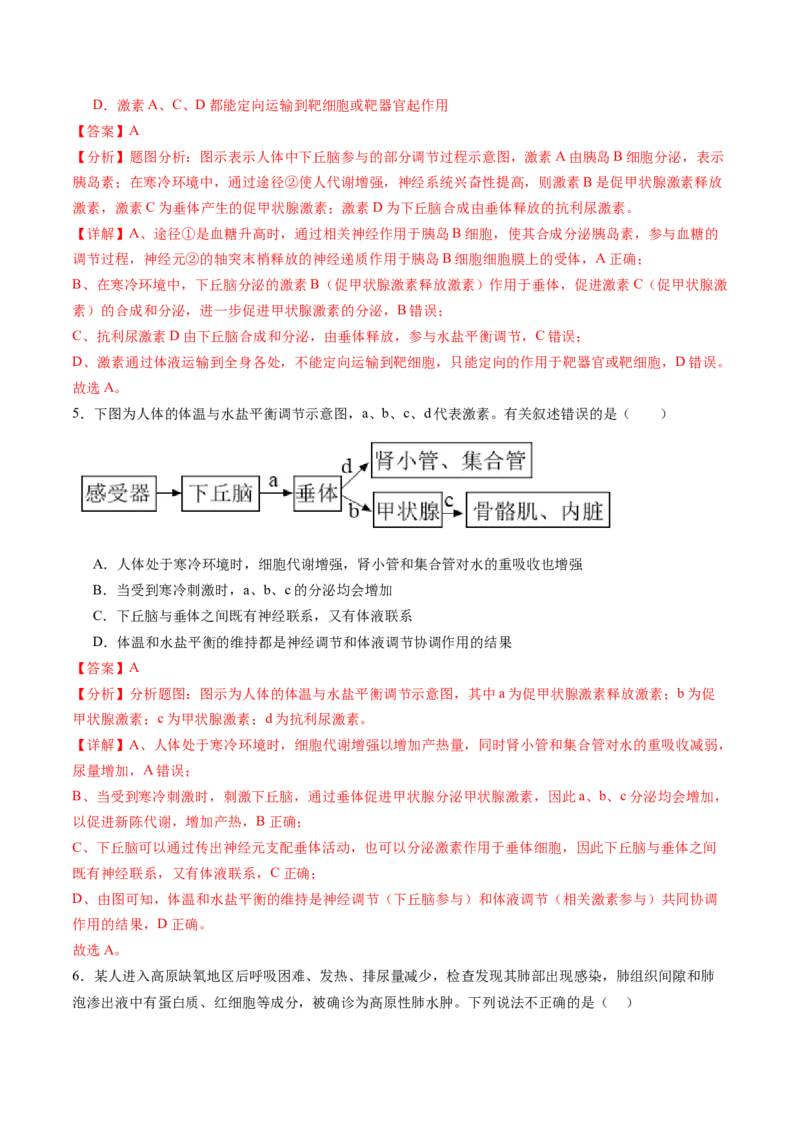 第28讲神经调节和体液调节的关系（练习）（解析版）_2024年新高考资料_1.2024一轮复习_2024年高考生物一轮复习讲练测（新教材新高考）