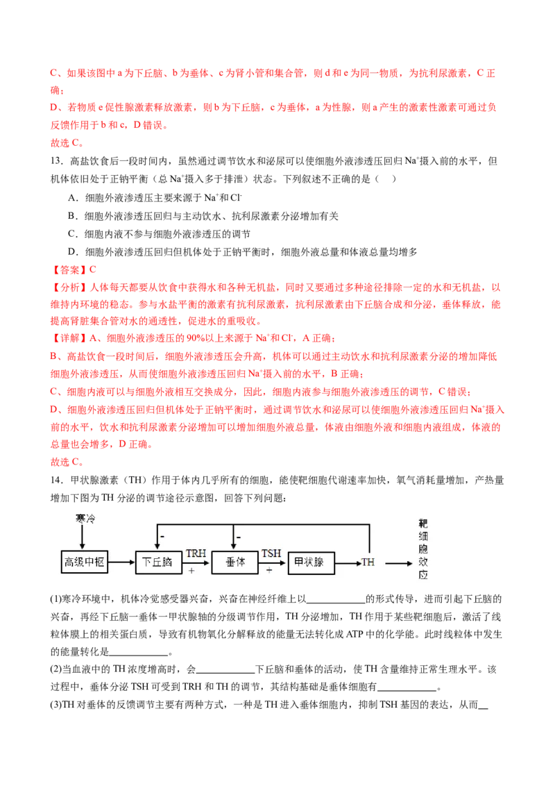 第28讲神经调节和体液调节的关系（练习）（解析版）_2024年新高考资料_1.2024一轮复习_2024年高考生物一轮复习讲练测（新教材新高考）