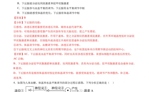 第28讲神经调节和体液调节的关系（练习）（解析版）_2024年新高考资料_1.2024一轮复习_2024年高考生物一轮复习讲练测（新教材新高考）