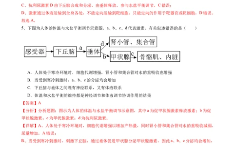 第28讲神经调节和体液调节的关系（练习）（解析版）_2024年新高考资料_1.2024一轮复习_2024年高考生物一轮复习讲练测（新教材新高考）