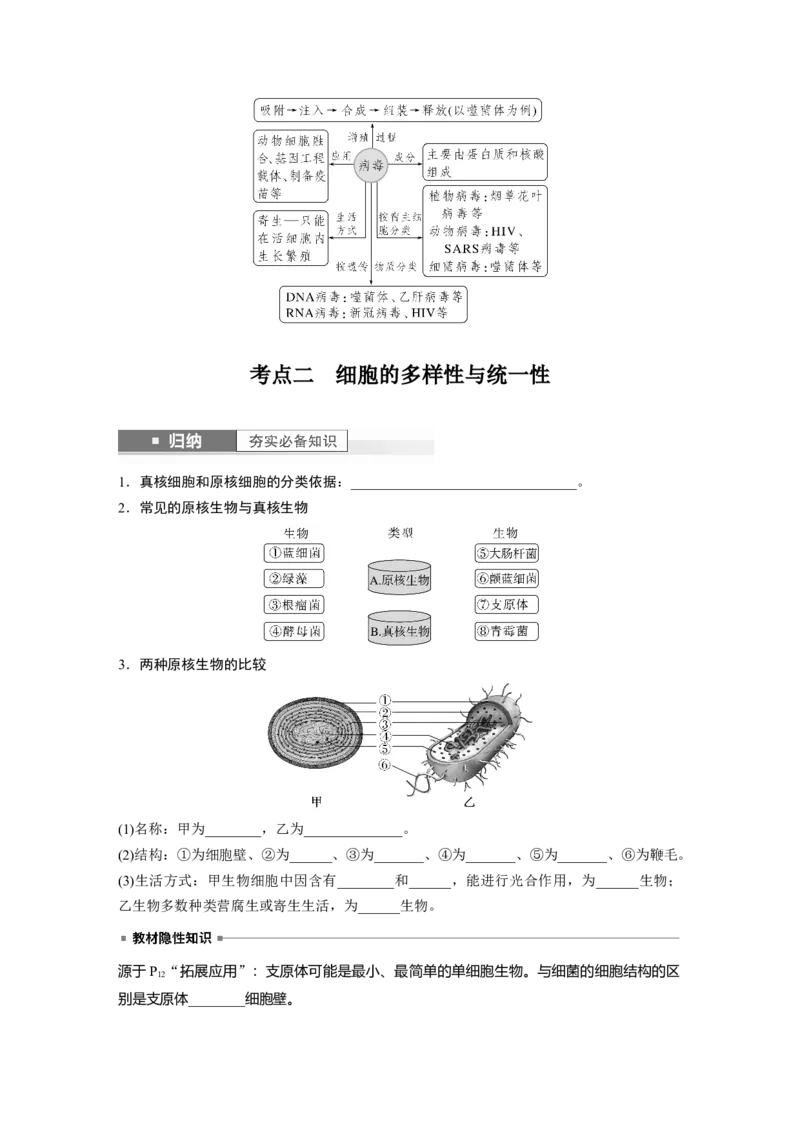第1单元　第1课时　走近细胞_2024年新高考资料_1.2024一轮复习_2024年高考生物一轮复习讲义（新人教版）_学生版在此文件夹_大一轮复习讲义_第一单元　细胞的概述及其分子组成