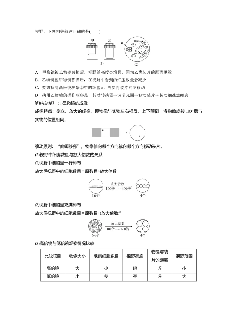 第1单元　第1课时　走近细胞_2024年新高考资料_1.2024一轮复习_2024年高考生物一轮复习讲义（新人教版）_学生版在此文件夹_大一轮复习讲义_第一单元　细胞的概述及其分子组成
