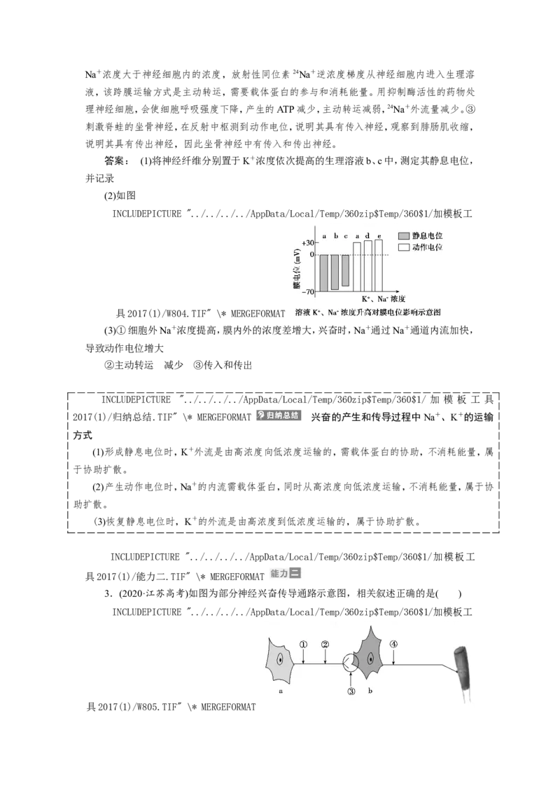 [12533099]高中生物一轮复习学案：第24讲　通过神经系统的调节_新高考复习资料_2023年新高考复习资料_一轮复习_精讲精练2023届新高考生物一轮复习学案