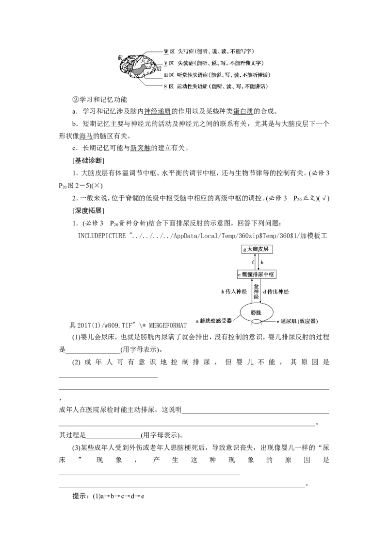 [12533099]高中生物一轮复习学案：第24讲　通过神经系统的调节_新高考复习资料_2023年新高考复习资料_一轮复习_精讲精练2023届新高考生物一轮复习学案