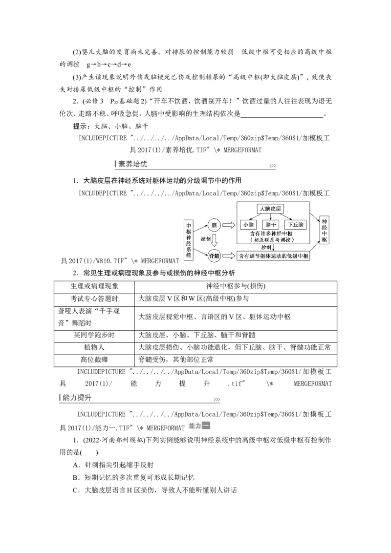 [12533099]高中生物一轮复习学案：第24讲　通过神经系统的调节_新高考复习资料_2023年新高考复习资料_一轮复习_精讲精练2023届新高考生物一轮复习学案