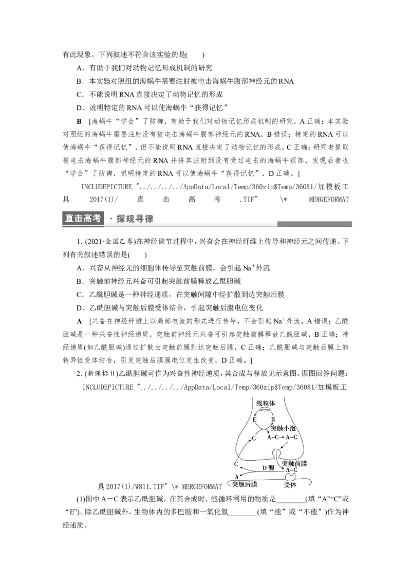 [12533099]高中生物一轮复习学案：第24讲　通过神经系统的调节_新高考复习资料_2023年新高考复习资料_一轮复习_精讲精练2023届新高考生物一轮复习学案