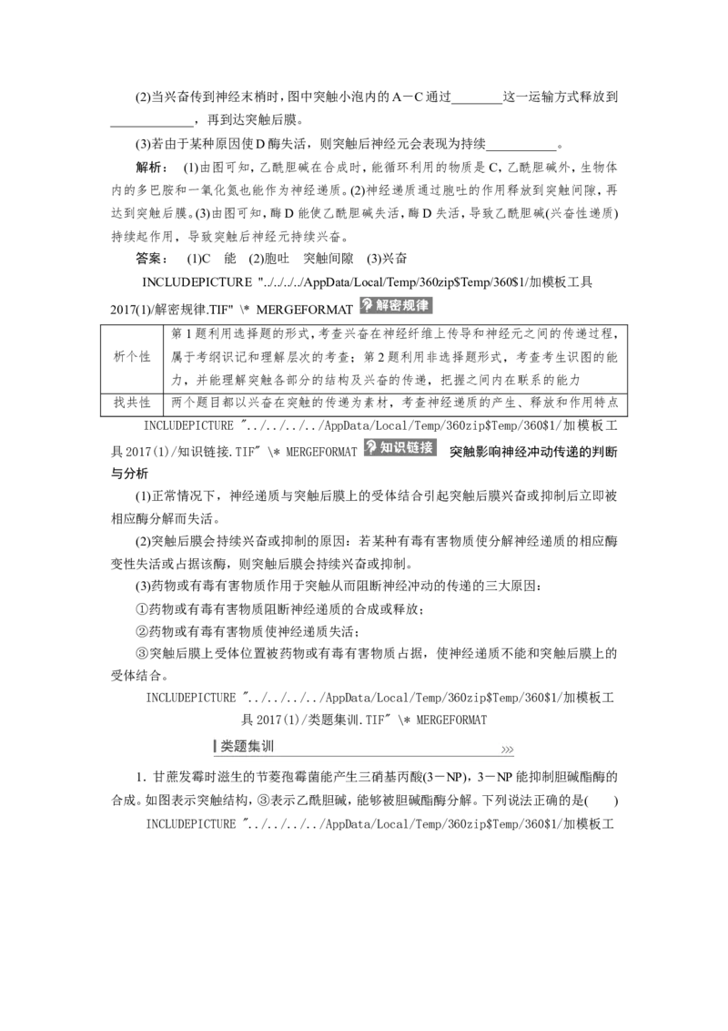 [12533099]高中生物一轮复习学案：第24讲　通过神经系统的调节_新高考复习资料_2023年新高考复习资料_一轮复习_精讲精练2023届新高考生物一轮复习学案