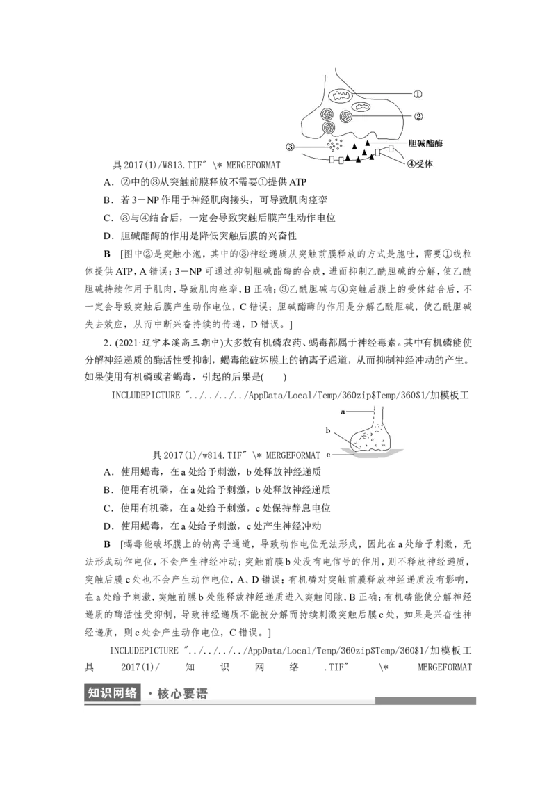 [12533099]高中生物一轮复习学案：第24讲　通过神经系统的调节_新高考复习资料_2023年新高考复习资料_一轮复习_精讲精练2023届新高考生物一轮复习学案